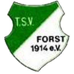 TSV Forst 1914 e.V. I